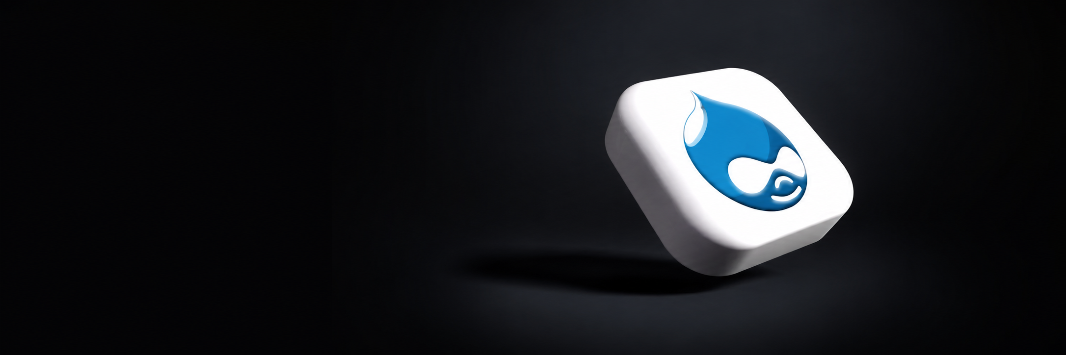 Drupal Development in Dubai